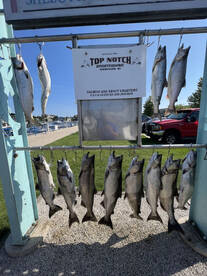 Sheboygan Report Photo 2