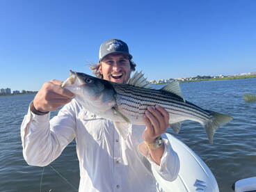 Hot top water bite this Summer