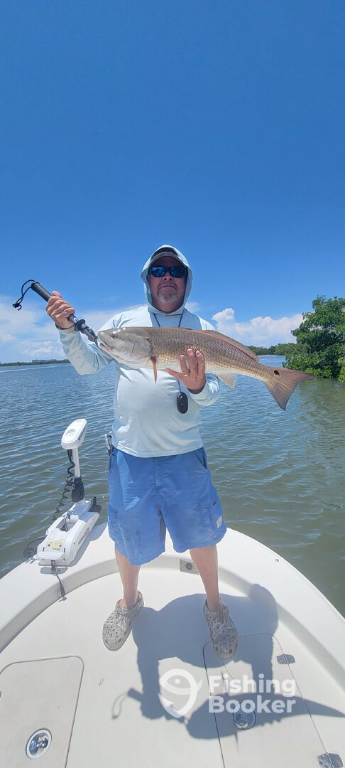 Bonita Springs Report Photo 0