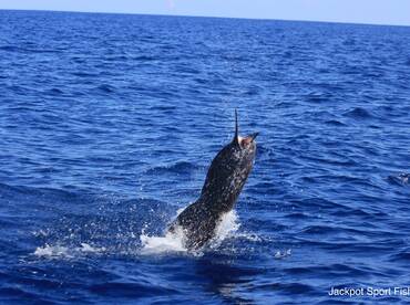 Quepos Report Photo 1