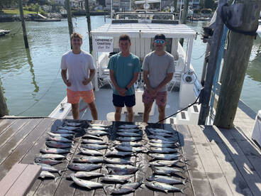 Members of the coast guard caught limit 
