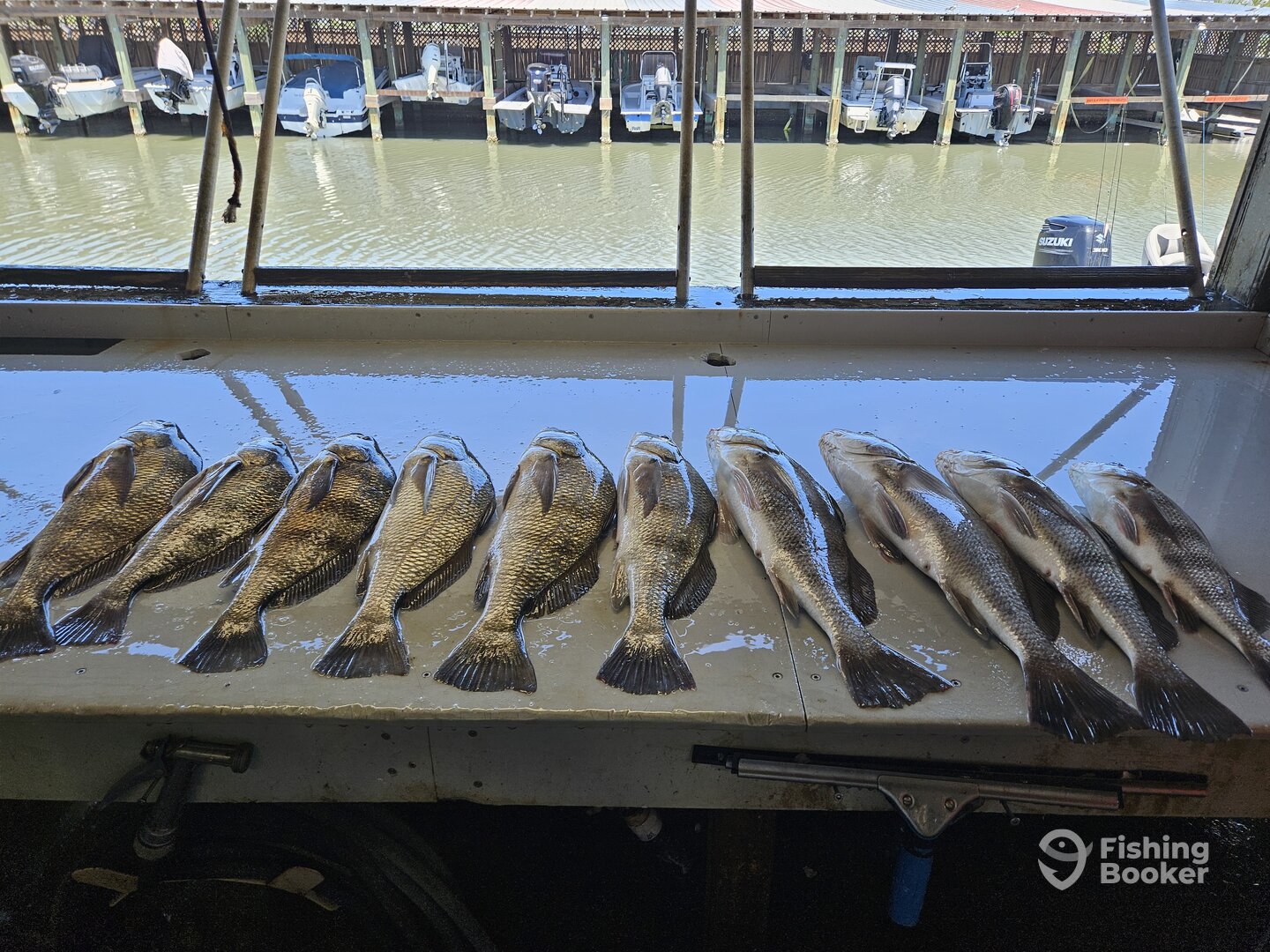 Corpus Christi Report Photo 0
