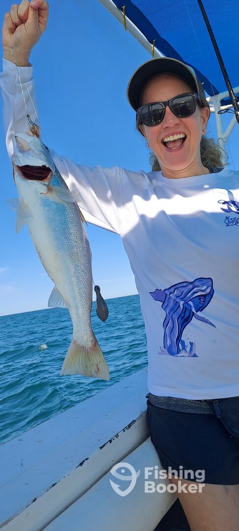 Sea trout.