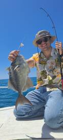 Trigger Fish.