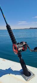 Fishing rods.