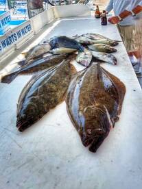 Montauk Report Photo 2