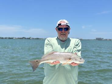 Sarasota Report Photo 1