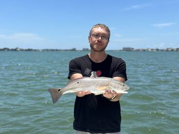 Sarasota Report Photo 2