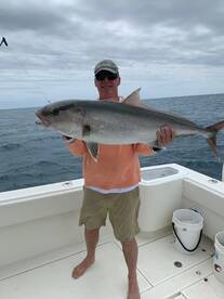 Dania Beach Report Photo 1