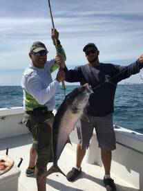 Dania Beach Report Photo 2