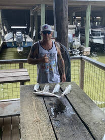 Galveston Report Photo 1