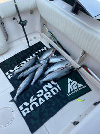 Fishing has been very good on the Puget 