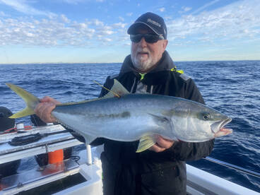 Sydney Report Photo 1