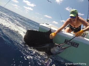 Quepos Report Photo 1