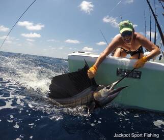 Quepos Report Photo 2