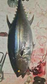 Ponta Delgada Report Photo 1