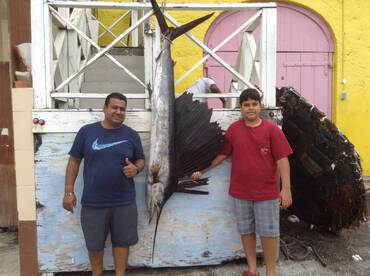 Bridgetown Report Photo 1