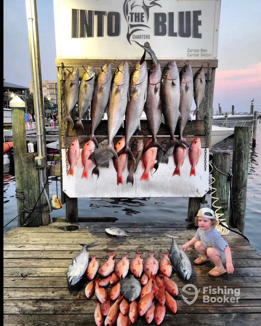 Destin Report Photo 0