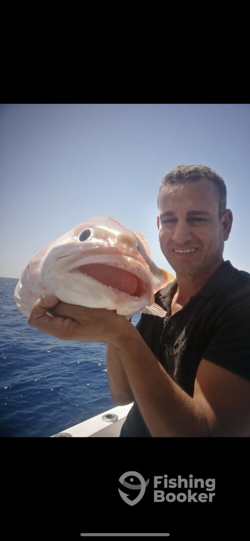 Hurghada Report Photo 0