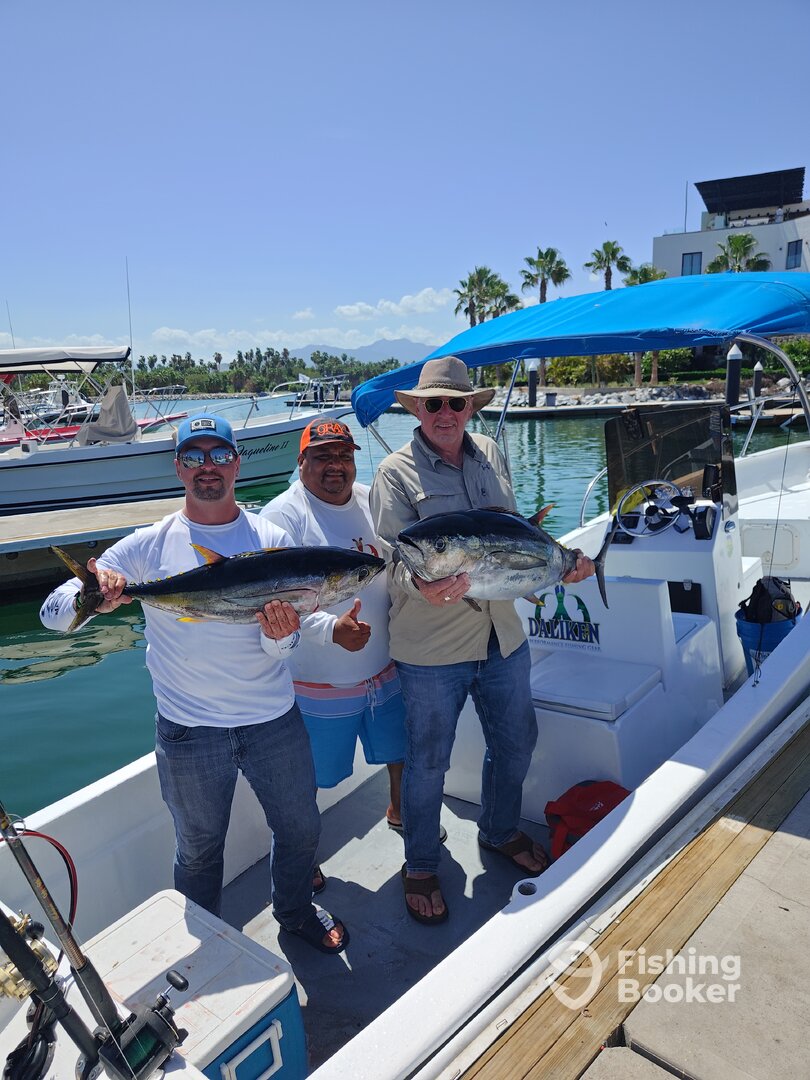San Jose del Cabo Report Photo 0