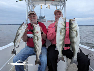 Summer afternoon fun