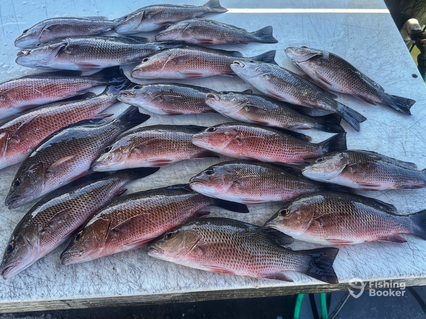 Port Orange Report Photo 0