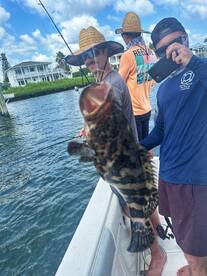 Port Orange Report Photo 2