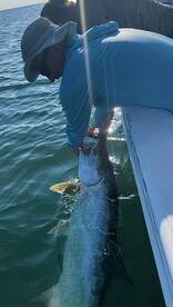 Jacksonville Report Photo 1