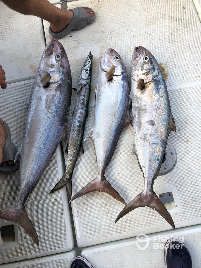 Girne Report Photo 0