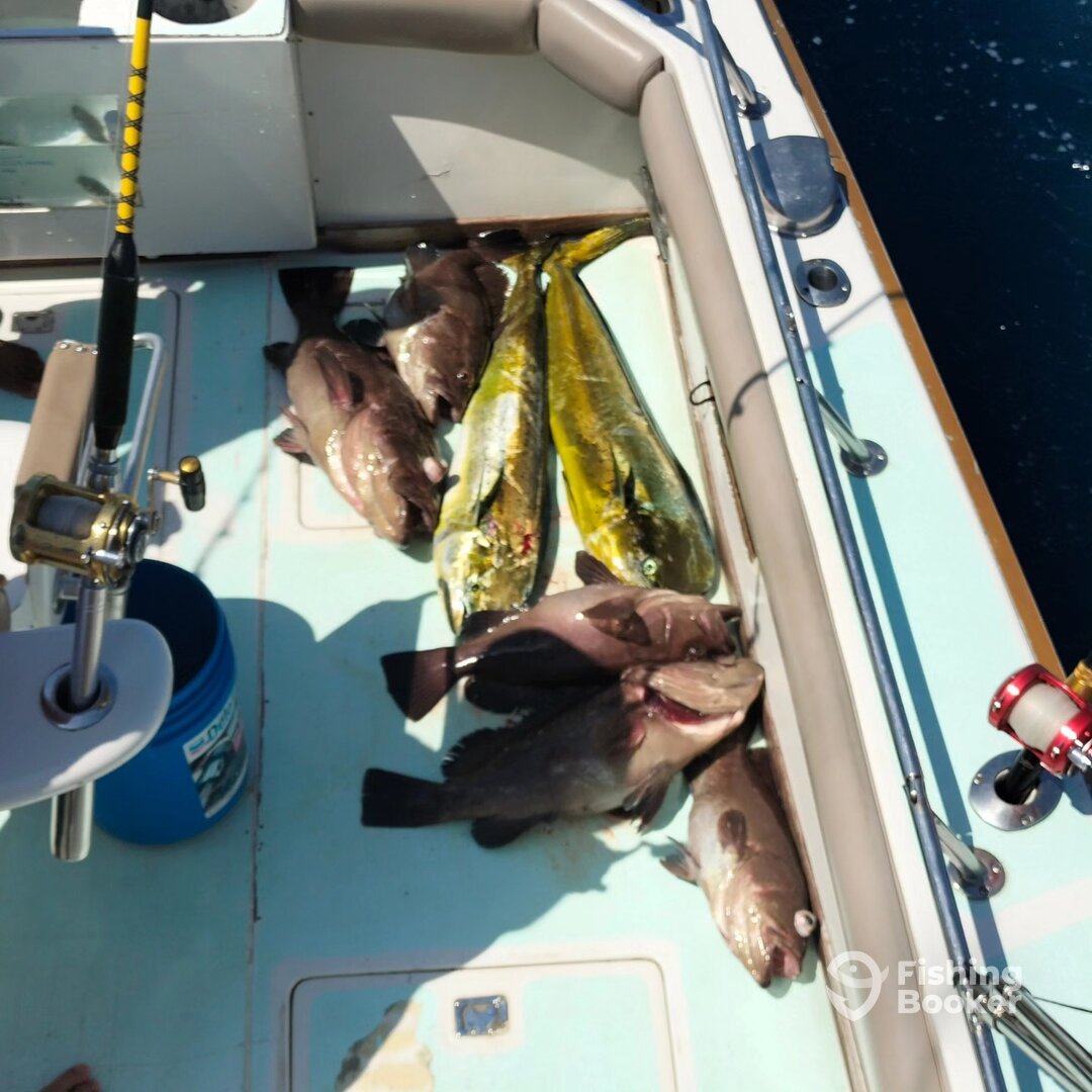 Cabo San Lucas Report Photo 0