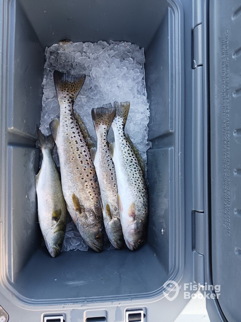 Manns Harbor Report Photo 0