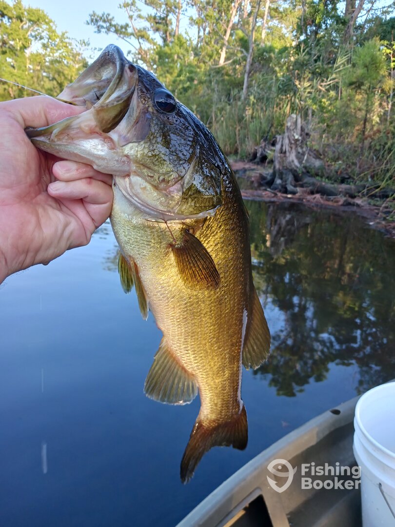 Manns Harbor Report Photo 0