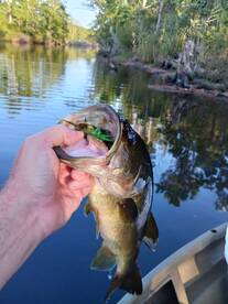 Manns Harbor Report Photo 1
