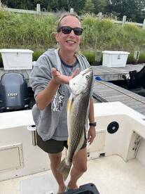 Southold Report Photo 2