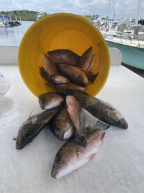 Port Orange Report Photo 1