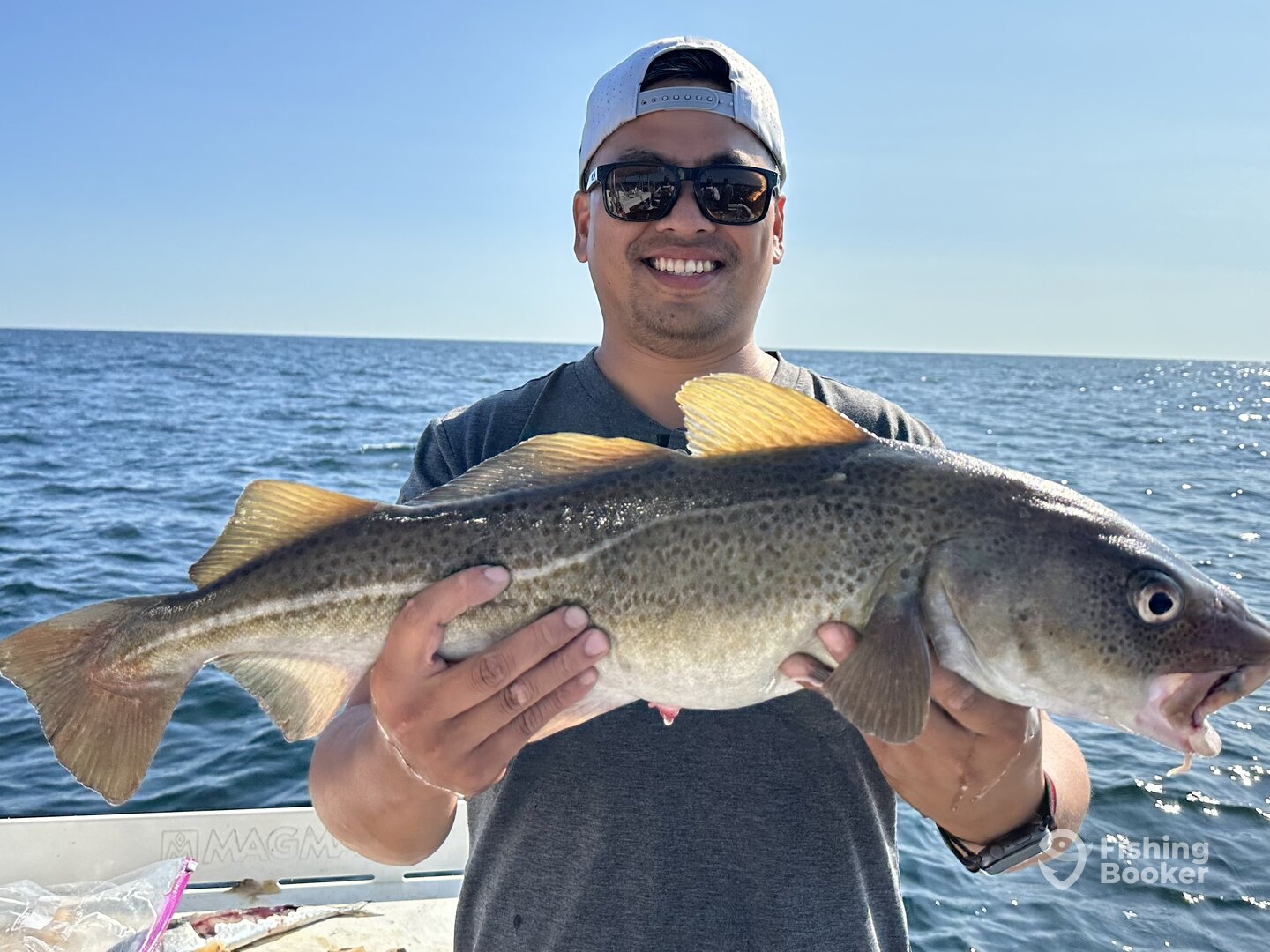 Scituate Report Photo 0