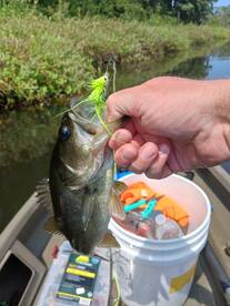 Manns Harbor Report Photo 2