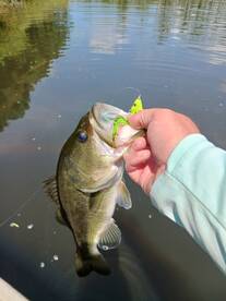 Fun on the fly.