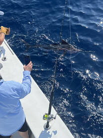 Nags Head Report Photo 2