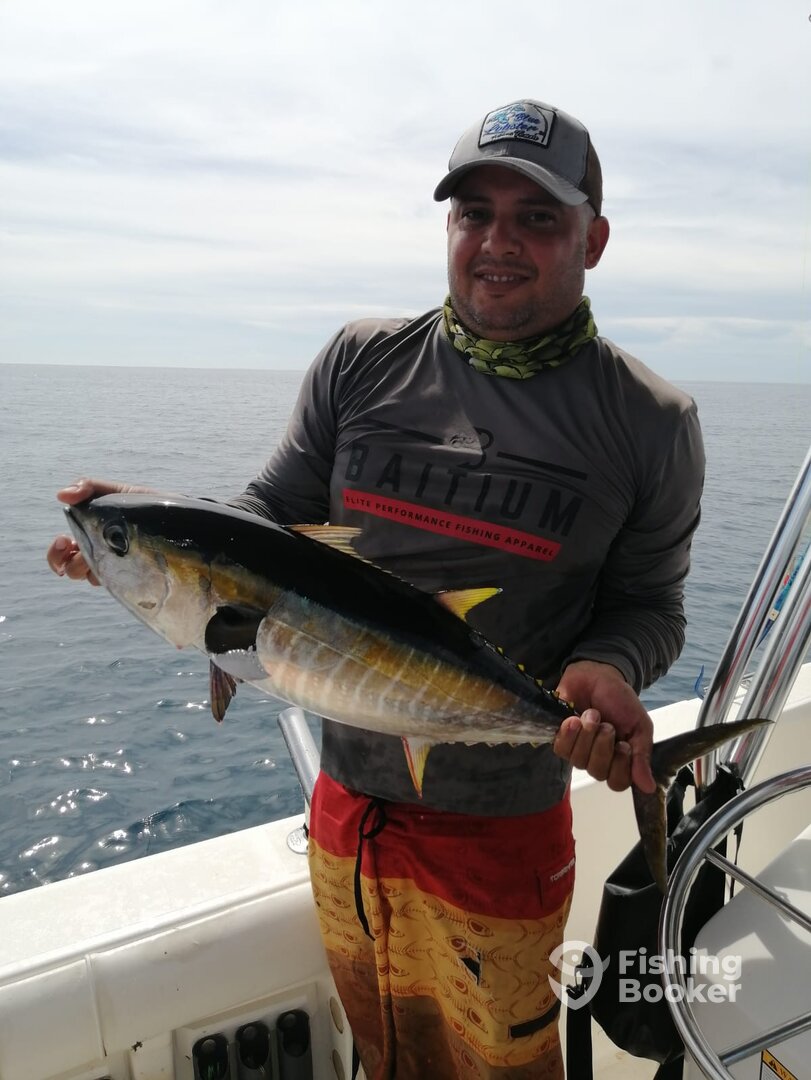 Panama City Report Photo 0