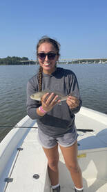 Fairhope Report Photo 2