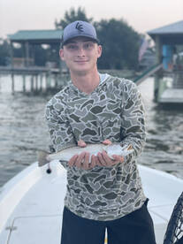 Fairhope Report Photo 1