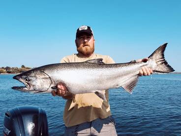 King Salmon are here !! 