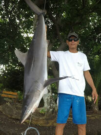 Le Morne Report Photo 1