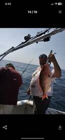 North Myrtle Beach Report Photo 1