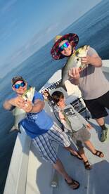 Mountains of Bluefish