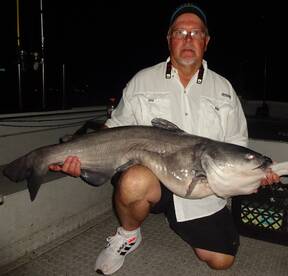 August Tennessee River report