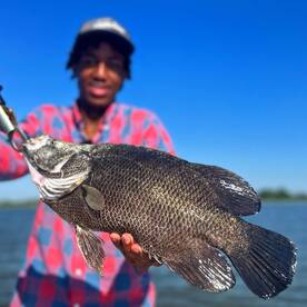 Summer bite has been super hot. 