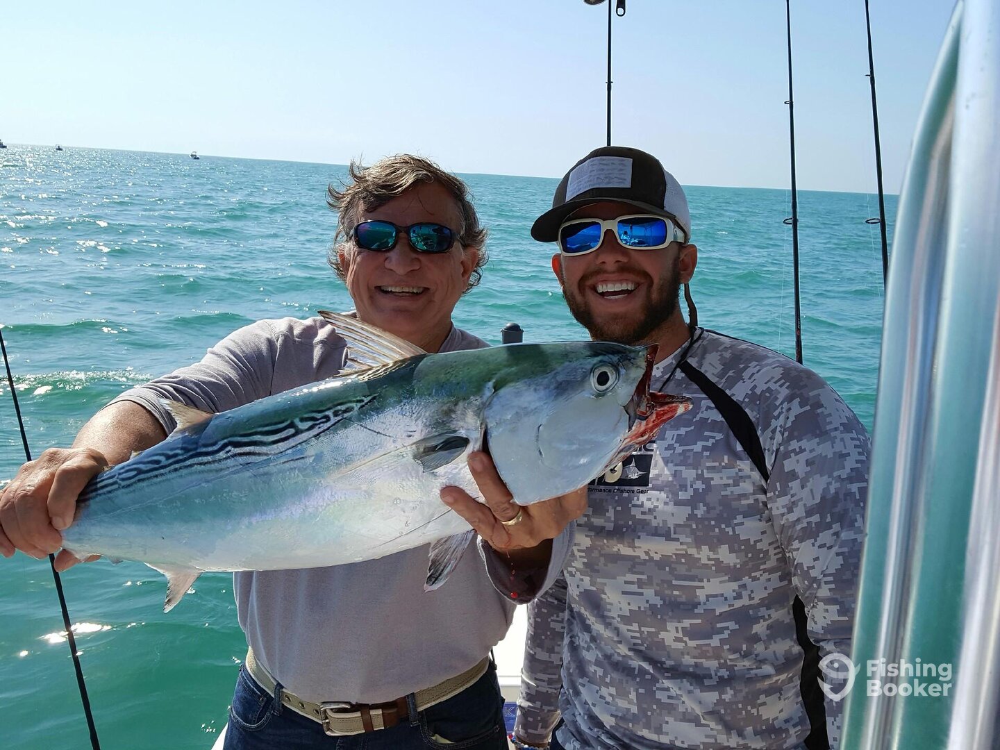 Sarasota Report Photo 0