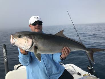 Sarasota Report Photo 1